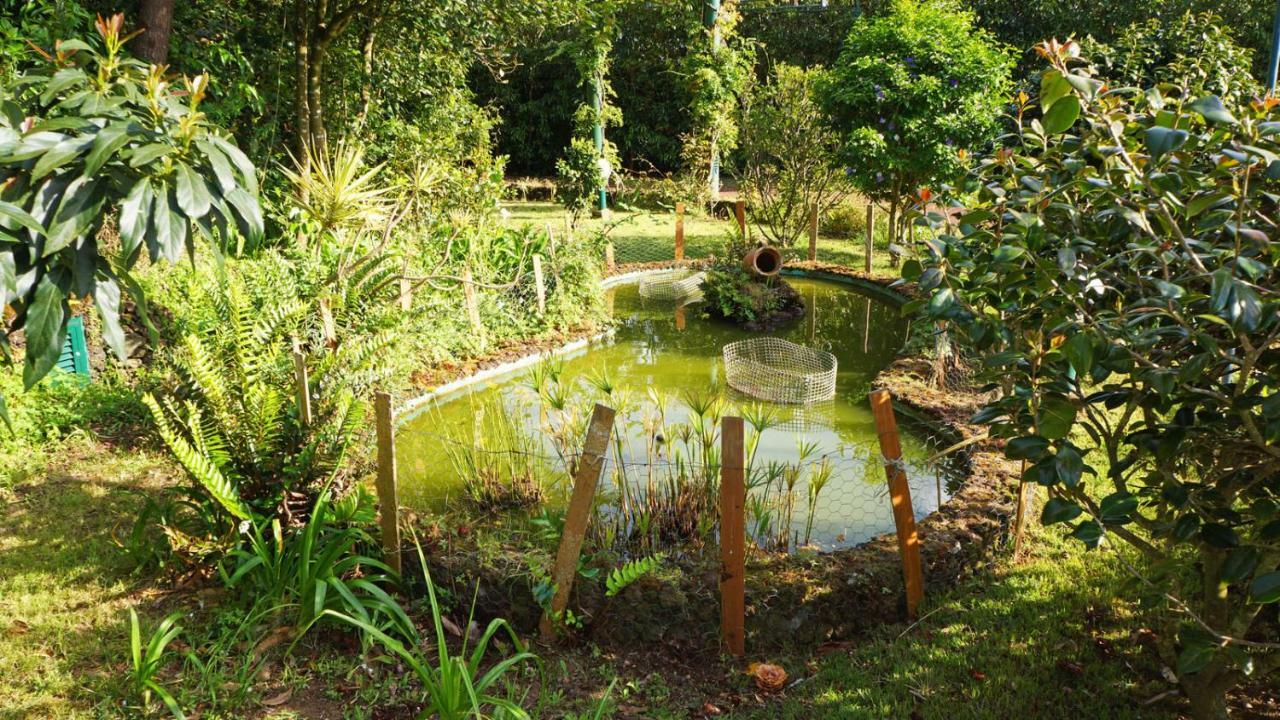 Quinta Dos Aromas Apartment ลาโกอา ภายนอก รูปภาพ